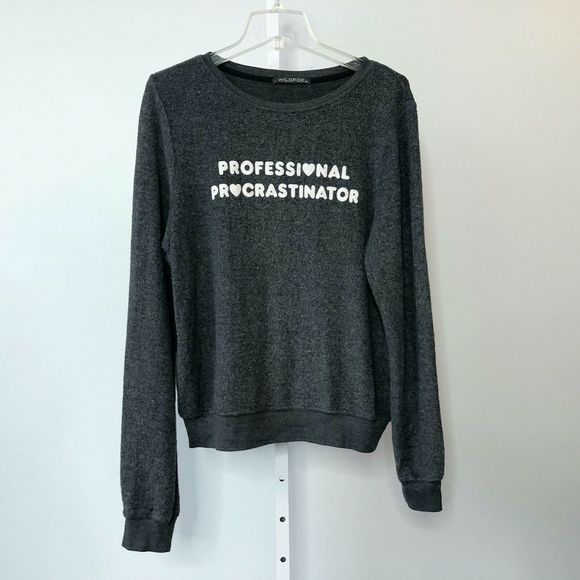 Wildfox Sweaters - Wildfox Professional Procrastinator Sweatshirt